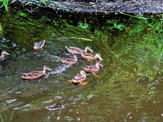 Vakantiehuis Welt Buitenaudio-opname 5