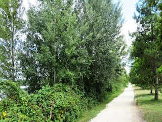 Apartment Bruges (Gironde)  14