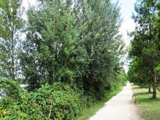 Apartment Bruges (Gironde)  12