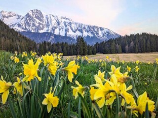 Apartment Chamrousse Umgebung 34