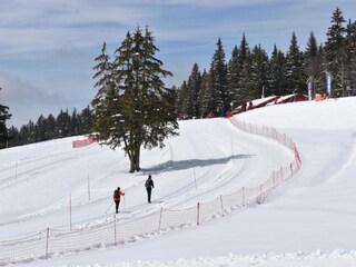 Appartamento Chamrousse Ambiente 19