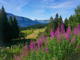 Appartement Chamrousse Omgeving 36