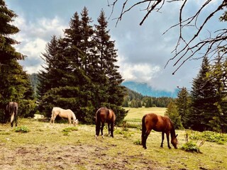 Appartamento Chamrousse Ambiente 33