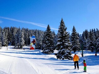 Appartamento Chamrousse Ambiente 38