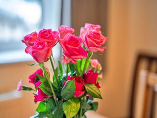 Maison de vacances Penzance  41