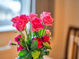 Casa de vacaciones Penzance  39