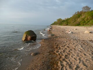Casa per le vacanze Rerik Ambiente 20