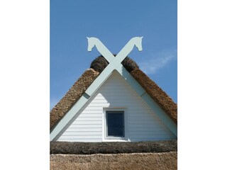 Casa per le vacanze Rerik Registrazione all'aperto 5