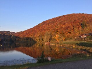 Vakantiehuis Rieden (Eifel) Buitenaudio-opname 4