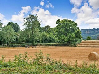 Vakantiehuisje Great Rissington Buitenaudio-opname 1