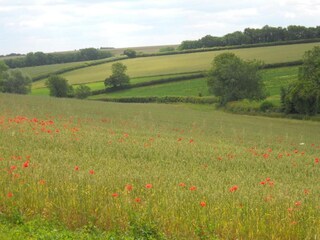 Maison de vacances Great Rissington Environnement 34