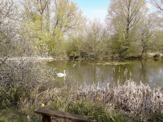 Appartement Great Rissington Environnement 14