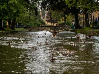 Appartement Great Rissington Omgeving 18