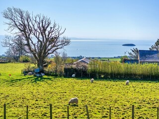 Ferienhaus Pwllheli Außenaufnahme 12