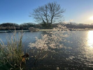 Chalet Petersfield Ambiente 22