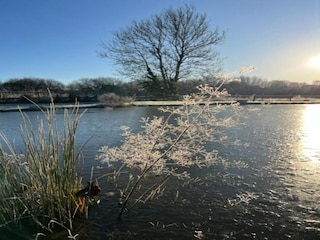 Chalet Petersfield Environment 25