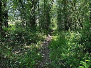 Chalet Petersfield Umgebung 15