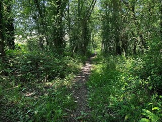Chalet Petersfield Umgebung 16
