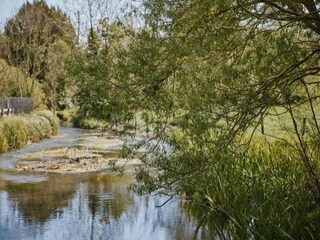 Chalet Petersfield Environnement 38