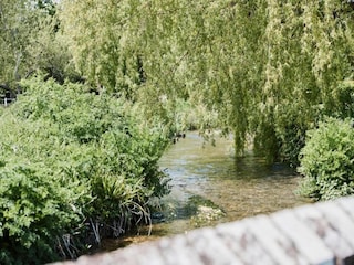 Chalet Petersfield Environment 31