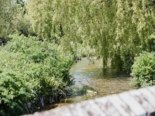 Chalet Petersfield Environnement 22