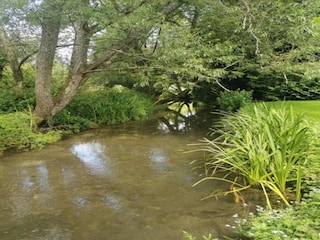 Chalet Petersfield Environment 16