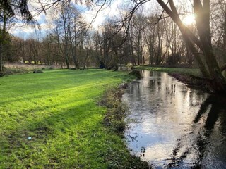 Chalet Petersfield Environment 39