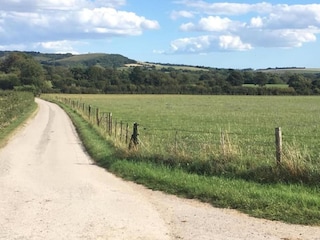 Chalet Petersfield Umgebung 30