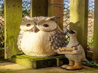 Chalet Norwich Außenaufnahme 3