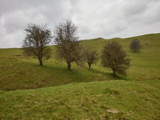 Chalet Buckingham Entorno 17