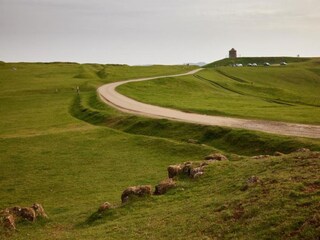 Chalet Buckingham Environnement 15