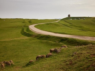 Chalet Buckingham Umgebung 14