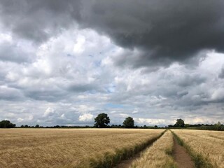 Chalet Buckingham Environnement 19