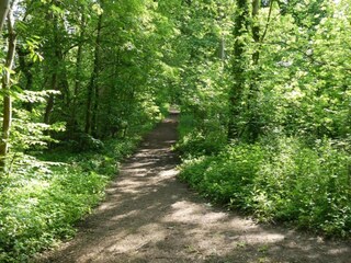 Chalet Buckingham Environment 18