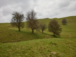 Chalet Buckingham Environnement 22