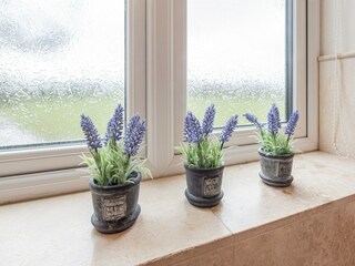 Ferienhaus Ruthin Ausstattung 12