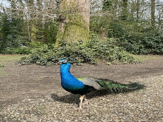 Holiday cottage Andover Features 7