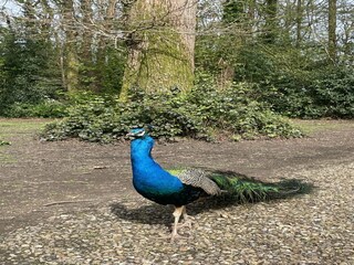 Vakantiehuisje Andover Kenmerken 9