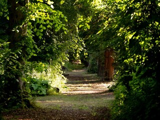 Vakantiehuisje Andover Buitenaudio-opname 4