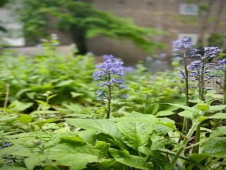 Cottage Andover Umgebung 13