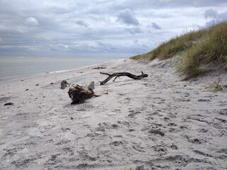 Vakantiehuis Lyngså  39