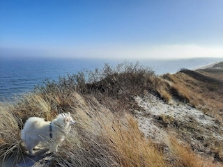 Ferienhaus Lyngså  36