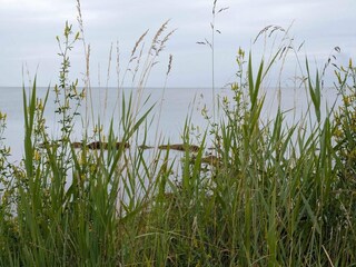 Vakantiehuis Juelsminde  8