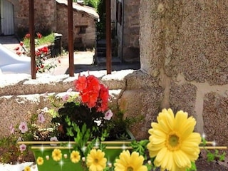 Apartment Tailhac  24