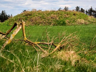 Casa per le vacanze Skærbæk  2