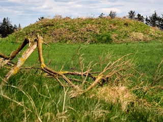 Vakantiehuis Skærbæk  4