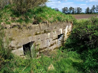 Casa per le vacanze Skærbæk  36