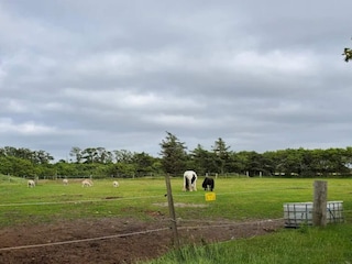 Vakantiehuis Skærbæk  33