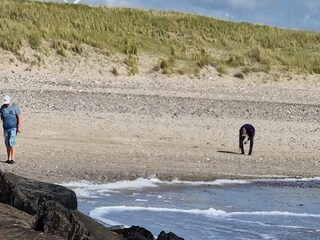 Ferienhaus Skærbæk  21