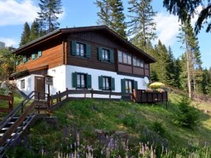 Holiday house Almhaus am Hohenwart - Bad St. Leonhard - image1